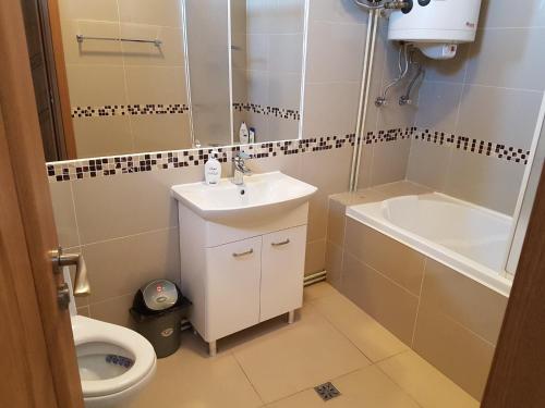 a bathroom with a sink and a toilet at SkyRoomsHorezu in Horezu