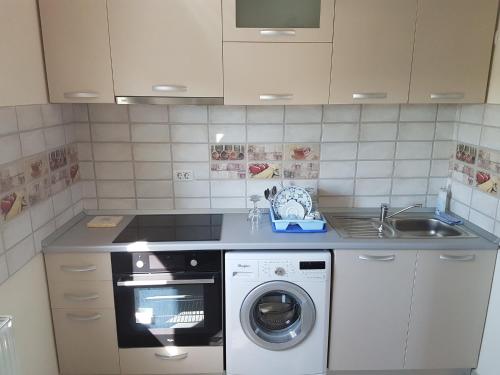 a kitchen with a washing machine and a sink at SkyRoomsHorezu in Horezu