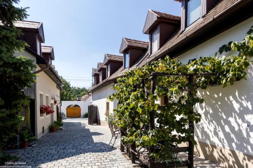 a courtyard of a house with plants on the side at Várfal Vendégház in Fertőrákos