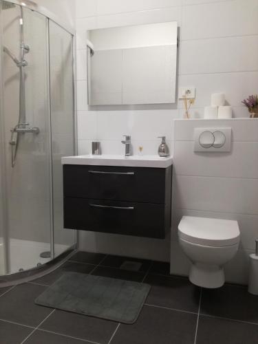a bathroom with a toilet and a sink and a shower at Ivana Šibenik in Šibenik