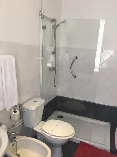 a bathroom with a toilet and a shower and a sink at Casa do Brigadeiro in Lajeosa