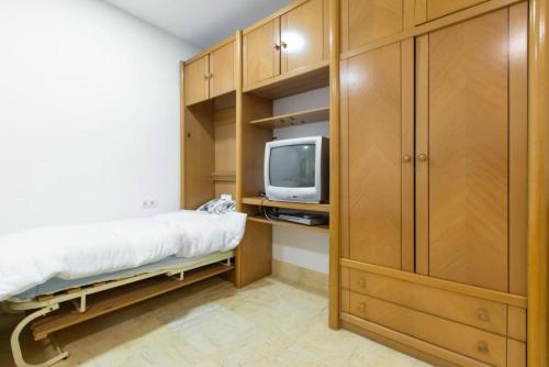 a bedroom with a bed and a tv at Plaza Mayor-Rastro WF in Madrid