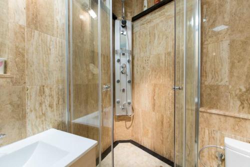 a bathroom with a shower and a sink at Plaza Mayor-Rastro WF in Madrid