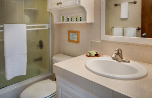 a bathroom with a sink and a shower and a toilet at Hanalei Colony Resort in Hanalei