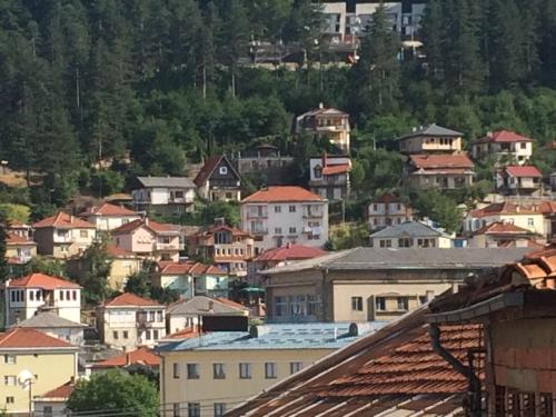 a group of houses on a hill with trees at Villa Flora Guesthouse in Kruševo