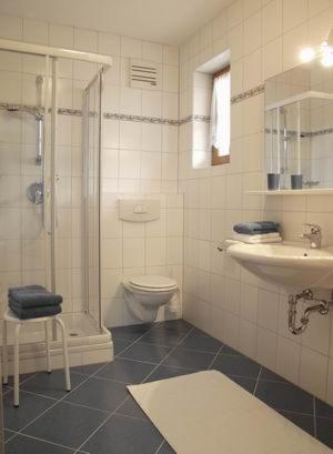 a bathroom with a shower and a toilet and a sink at Appartement Jackie Eschbacher in Wagrain