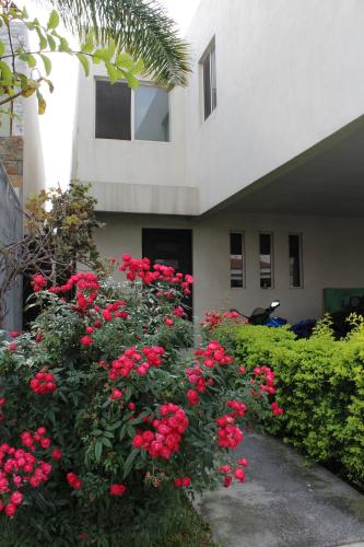 een bos rode bloemen voor een gebouw bij Consulado Suites in Monterrey