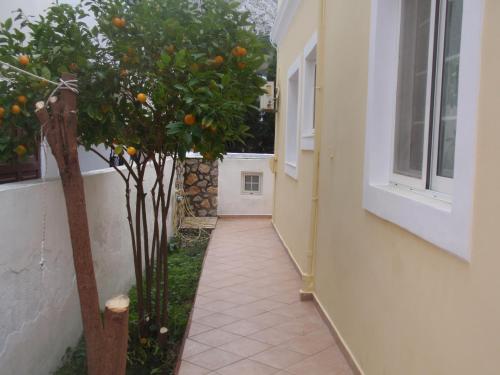 eine Gasse mit einem Orangenbaum neben einem Gebäude in der Unterkunft Traditional city house in Kalymnos
