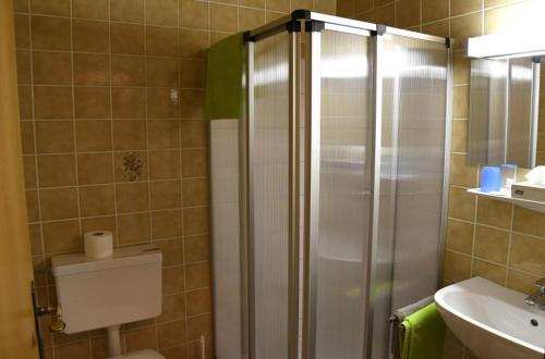 a bathroom with a shower and a toilet and a sink at Frühstückspension Binder in Harbach