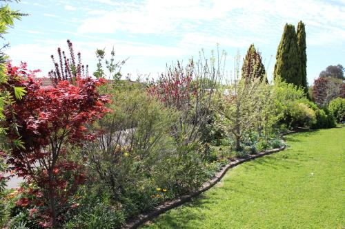 un jardín con muchas plantas y árboles diferentes en Top of the Town Motel, en Inverell