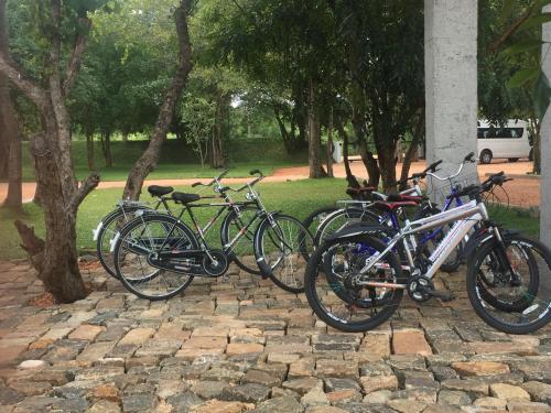 a group of bikes parked next to a tree at SigiriyaJungles Resort & Spa in Sigiriya