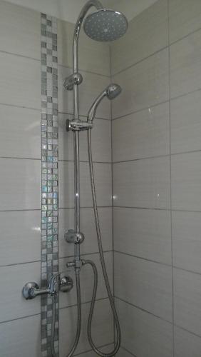 Gallery image of Studio Sara in Premantura