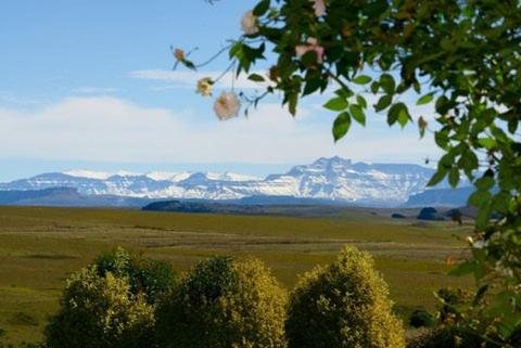 Paisaje cerca de este hostal o pensión