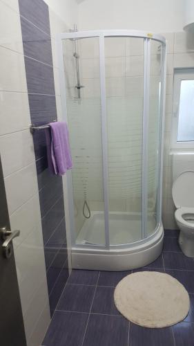 a bathroom with a shower with a toilet and a rug at Apartments Lena in Sutomišćica
