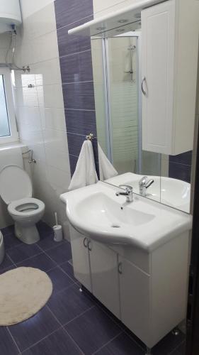 Koupelna v ubytování Apartments Lena