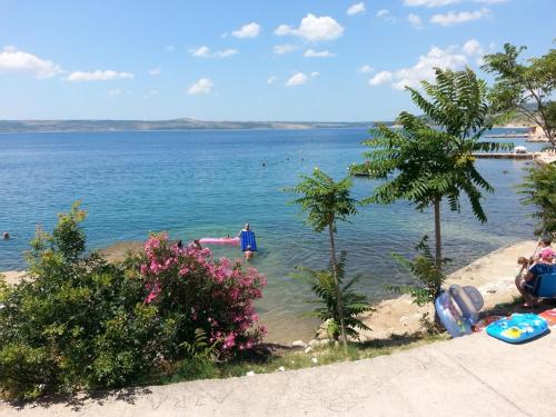 Apartments Camelia – Photos 2