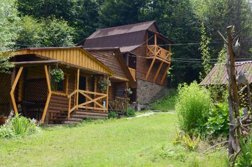 a log cabin with a porch and a yard at Zarinok in Pilipets