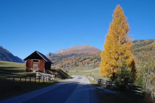 a road with a barn and a tree on a hill at Apartments Bogensperger in Mariapfarr
