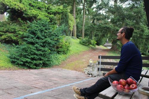 a man sitting on a bench with a basket of apples at Haus am Wald in Eltmann