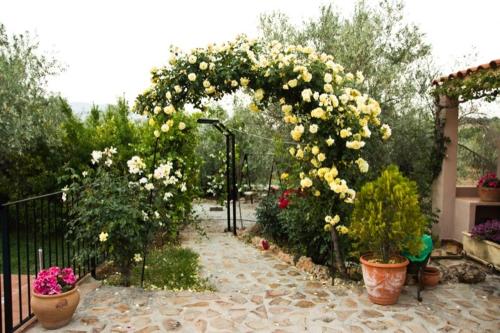Κήπος έξω από το Casas Rurales Cazorla-Alcón