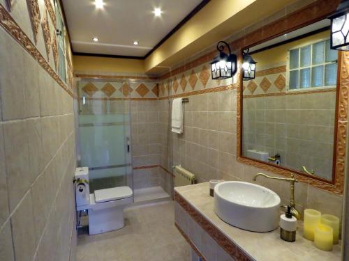 a bathroom with a sink and a toilet and a mirror at Elai Etxea Loft Baias in Pobes