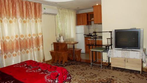 a living room with a television and a kitchen at Apartments on Logvinenko 26a in Bishkek