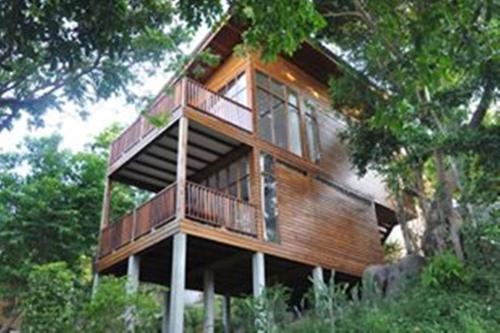 a tree house in the middle of a forest at Amaresa Resort & Sky Bar - experience nature in Haad Rin