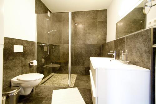 アーレンスホープにあるFerienwohnungen Auszeit und Freizeitのバスルーム(トイレ、シャワー、シンク付)