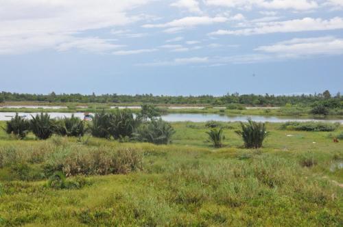 a field of grass with a river in the background at The Quin Riverside Villa in Hoi An