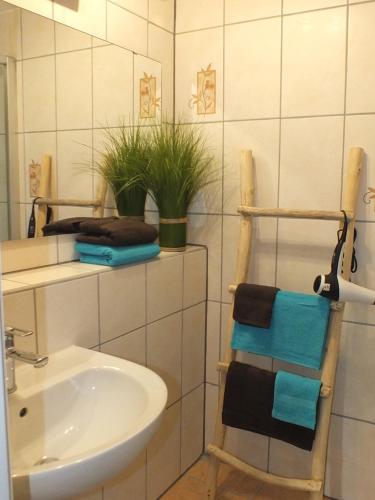 ein Badezimmer mit einem Waschbecken und einem Handtuchhalter in der Unterkunft Tami's Harzglück in Braunlage
