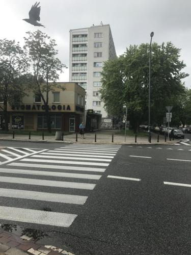 einen Spaziergang mit einem Vogel, der über eine Straße fliegt in der Unterkunft Apartament Karmelicka 19 Muzeum Polin in Warschau