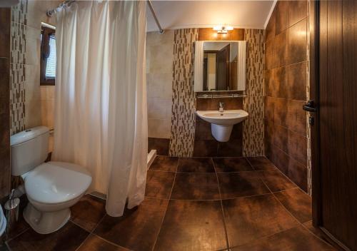 a bathroom with a toilet and a sink at Ваканционна къща ,,Родопски уют " in Dospat