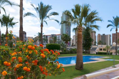 a large palm tree in the middle of a beach at Gemelos 20 - Beninter in Benidorm