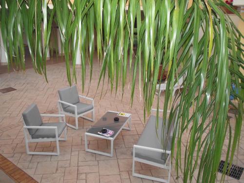 a group of chairs and a table and palm trees at Il Girasole in Terracina
