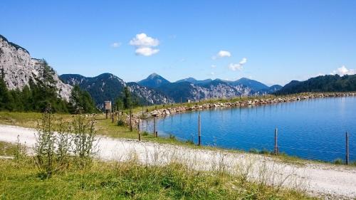 a large body of water with a group of animals at Apartment Bergjuwel in Sonnenalpe Nassfeld