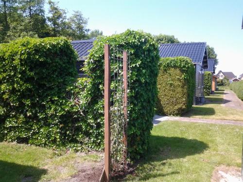 a fence covered in ivy in front of a house at Bed & Breakfast Meinsma in Moddergat