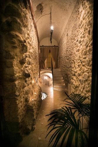 an alley way with a stone wall and a plant at Il Casanova in Tropea