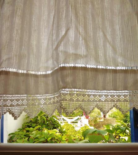 a window with a curtain and a plant at Votsalo Apartments in Naousa