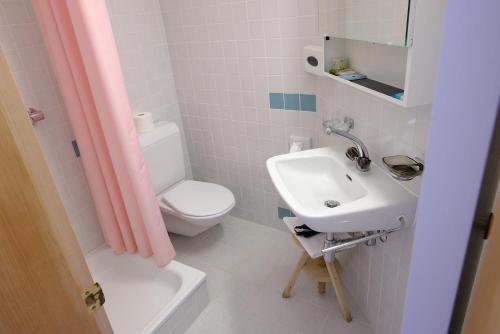 a bathroom with a white toilet and a sink at Hotel Soazza in Soazza