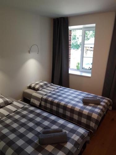 Dos camas sentadas en una habitación con ventana. en Amber Wind Apartment, en Juodkrantė