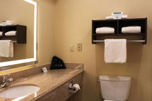 La salle de bains est pourvue d'un lavabo, de toilettes et d'un miroir. dans l'établissement Best Western Plus North Houston Inn & Suites, à Houston