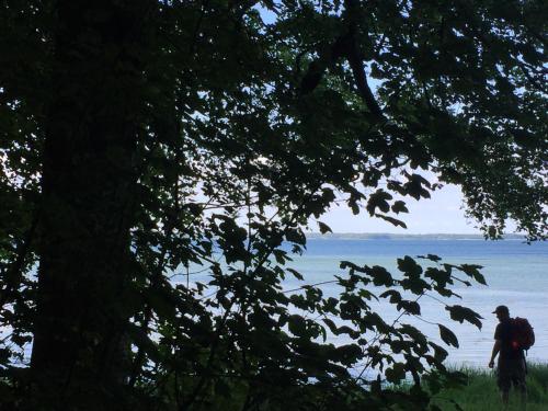 a man with a backpack standing next to a body of water at LindegaardApartment - woods and sea in Hejls