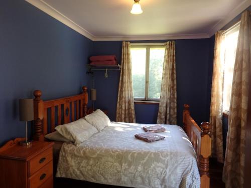 Dormitorio azul con cama y ventana en Teretre Cabins Nimbin, en Nimbin