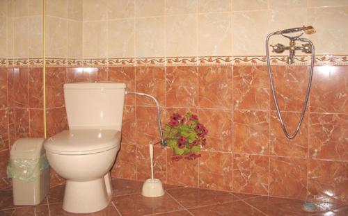 ヴェリコ・タルノヴォにあるGuest Rooms Bela Nedaのバスルーム(トイレ、シャワー付)