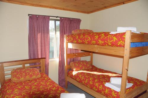 a bedroom with two bunk beds and a window at Snowgate Motel + Apartments in Berridale