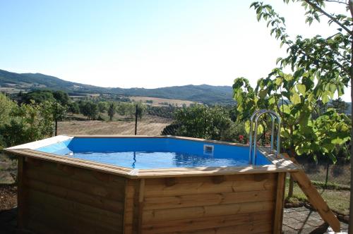 a hot tub with a blue pool in a vineyard at Casa la Pineta in Pieve a Scuola