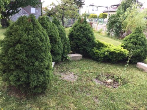 Un jardín fuera de Lydiavi