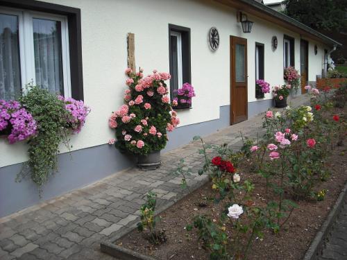 un ramo de flores al lado de una casa en Pension Möhring, en Bad Suderode