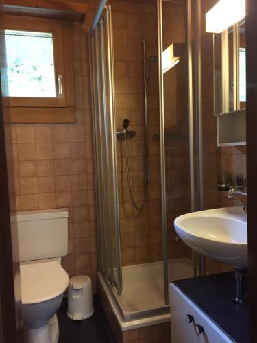 a bathroom with a shower and a toilet and a sink at Casa Sulom in Arosa