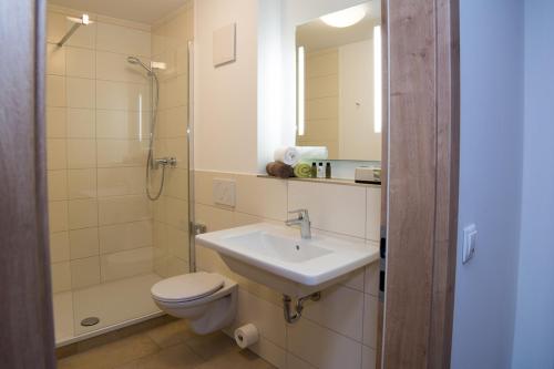 a bathroom with a sink and a toilet and a shower at SPIEGLHOF apart in Kumhausen